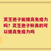 灵芝孢子能提高免疫力吗？灵芝孢子粉真的可以提高免疫力吗