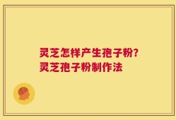 灵芝怎样产生孢子粉？灵芝孢子粉制作法