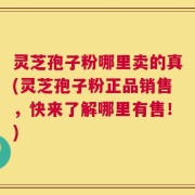灵芝孢子粉哪里卖的真(灵芝孢子粉正品销售，快来了解哪里有售！)
