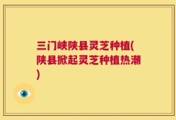 三门峡陕县灵芝种植(陕县掀起灵芝种植热潮)