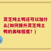 灵芝炖土鸭还可以加什么(如何提升灵芝炖土鸭的美味程度？)