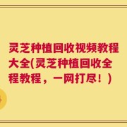 灵芝种植回收视频教程大全(灵芝种植回收全程教程，一网打尽！)