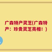 广森特产灵芝(广森特产：珍贵灵芝亮相！)