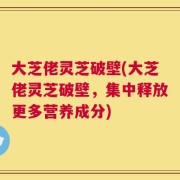 大芝佬灵芝破壁(大芝佬灵芝破壁，集中释放更多营养成分)