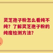 灵芝孢子粉怎么看纯不纯？了解灵芝孢子粉的纯度检测方法？