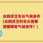 白鹤灵芝生长气候条件(白鹤灵芝的生长需要遵循哪些气候条件？)