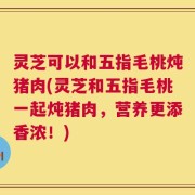 灵芝可以和五指毛桃炖猪肉(灵芝和五指毛桃一起炖猪肉，营养更添香浓！)