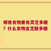 哪些食物里有灵芝多糖？什么食物含芝胺多糖