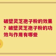 破壁灵芝孢子粉的效果？破壁灵芝孢子粉的功效与作用有哪些