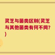 灵芝与菌类区别(灵芝与其他菌类有何不同？)