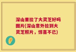 深山里捡了大灵芝好吗图片(深山意外捡到大灵芝照片，惊喜不已)