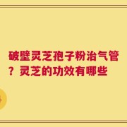 破壁灵芝孢子粉治气管？灵芝的功效有哪些