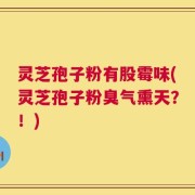 灵芝孢子粉有股霉味(灵芝孢子粉臭气熏天？！)