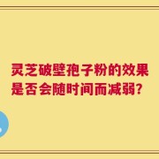 灵芝破壁孢子粉的效果是否会随时间而减弱？