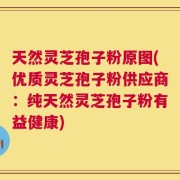 天然灵芝孢子粉原图(优质灵芝孢子粉供应商：纯天然灵芝孢子粉有益健康)