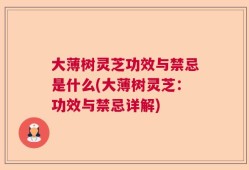 大薄树灵芝功效与禁忌是什么(大薄树灵芝：功效与禁忌详解)