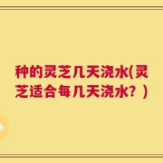 种的灵芝几天浇水(灵芝适合每几天浇水？)