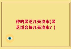 种的灵芝几天浇水(灵芝适合每几天浇水？)