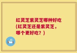 红灵芝紫灵芝哪种好吃(红灵芝还是紫灵芝，哪个更好吃？)