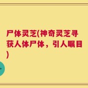 尸体灵芝(神奇灵芝寻获人体尸体，引人瞩目)