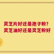 灵芝片好还是孢子粉？灵芝油好还是灵芝粉好