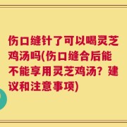 伤口缝针了可以喝灵芝鸡汤吗(伤口缝合后能不能享用灵芝鸡汤？建议和注意事项)
