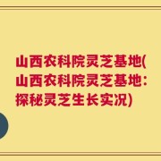 山西农科院灵芝基地(山西农科院灵芝基地：探秘灵芝生长实况)