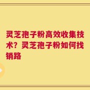 灵芝孢子粉高效收集技术？灵芝孢子粉如何找销路