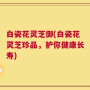 白瓷花灵芝御(白瓷花灵芝珍品，护你健康长寿)