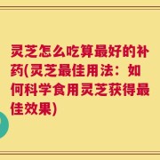 灵芝怎么吃算最好的补药(灵芝最佳用法：如何科学食用灵芝获得最佳效果)