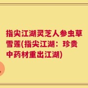 指尖江湖灵芝人参虫草雪莲(指尖江湖：珍贵中药材重出江湖)