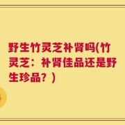 野生竹灵芝补肾吗(竹灵芝：补肾佳品还是野生珍品？)