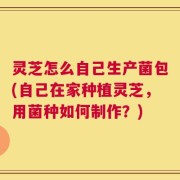 灵芝怎么自己生产菌包(自己在家种植灵芝，用菌种如何制作？)