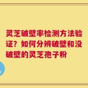 灵芝破壁率检测方法验证？如何分辨破壁和没破壁的灵芝孢子粉