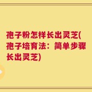孢子粉怎样长出灵芝(孢子培育法：简单步骤长出灵芝)