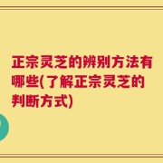 正宗灵芝的辨别方法有哪些(了解正宗灵芝的判断方式)