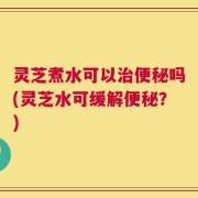 灵芝煮水可以治便秘吗(灵芝水可缓解便秘？)