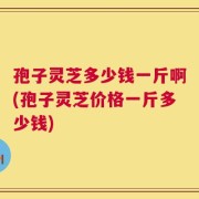 孢子灵芝多少钱一斤啊(孢子灵芝价格一斤多少钱)