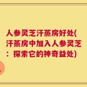 人参灵芝汗蒸房好处(汗蒸房中加入人参灵芝：探索它的神奇益处)