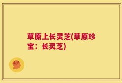 草原上长灵芝(草原珍宝：长灵芝)