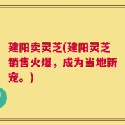 建阳卖灵芝(建阳灵芝销售火爆，成为当地新宠。)