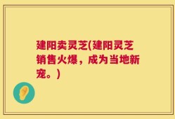 建阳卖灵芝(建阳灵芝销售火爆，成为当地新宠。)