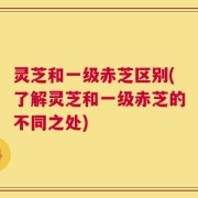 灵芝和一级赤芝区别(了解灵芝和一级赤芝的不同之处)