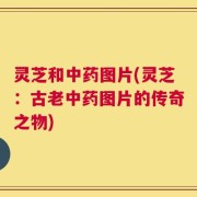 灵芝和中药图片(灵芝：古老中药图片的传奇之物)