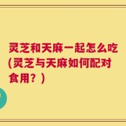灵芝和天麻一起怎么吃(灵芝与天麻如何配对食用？)