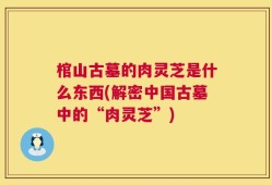棺山古墓的肉灵芝是什么东西(解密中国古墓中的“肉灵芝”)