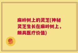 麻岭树上的灵芝(神秘灵芝生长在麻岭树上，颇具医疗价值)
