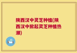 陕西汉中灵芝种植(陕西汉中掀起灵芝种植热潮)