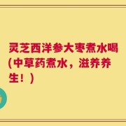 灵芝西洋参大枣煮水喝(中草药煮水，滋养养生！)