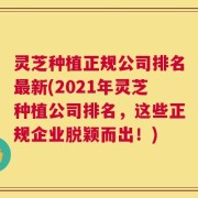 灵芝种植正规公司排名最新(2021年灵芝种植公司排名，这些正规企业脱颖而出！)